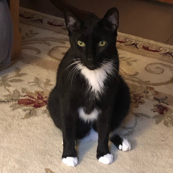 Meet your Posher, Carol - Picture 3 of 3